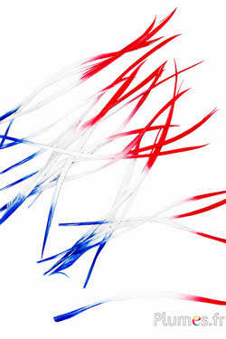 Gans - 10-17 cm - blauw-wit-rood